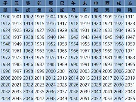 属马今年几岁|2024年生肖属相年份表